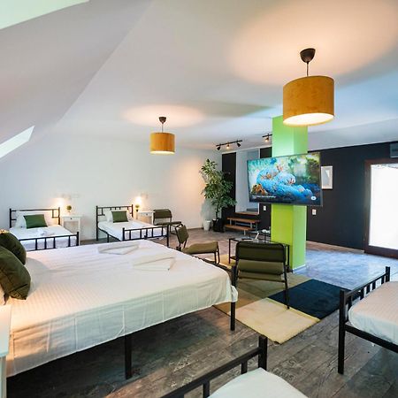 Cozy Nook B&B - Free Private Parking Újvidék Kültér fotó