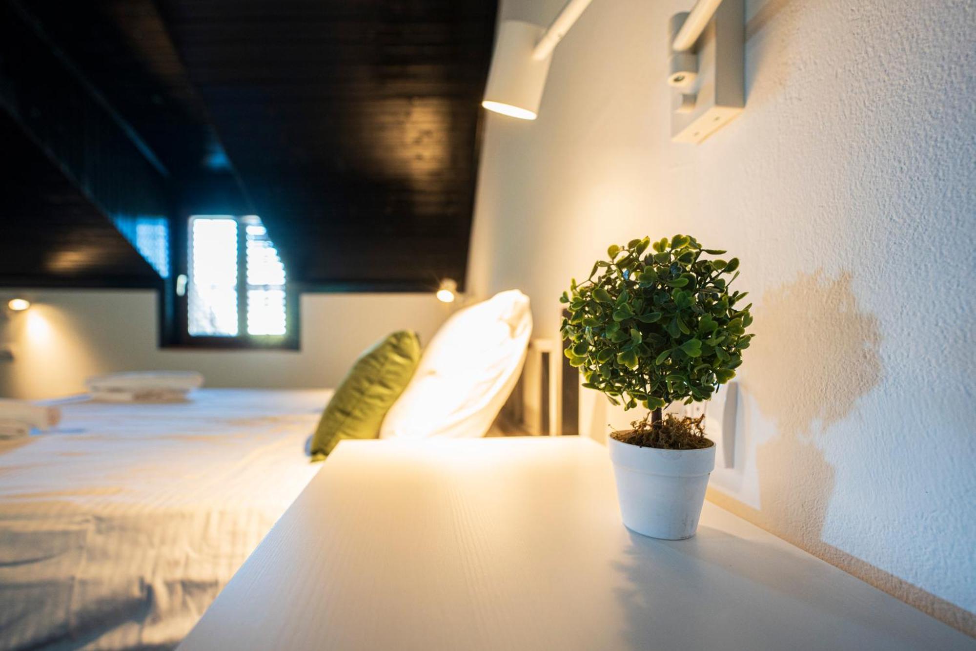 Cozy Nook B&B - Free Private Parking Újvidék Kültér fotó